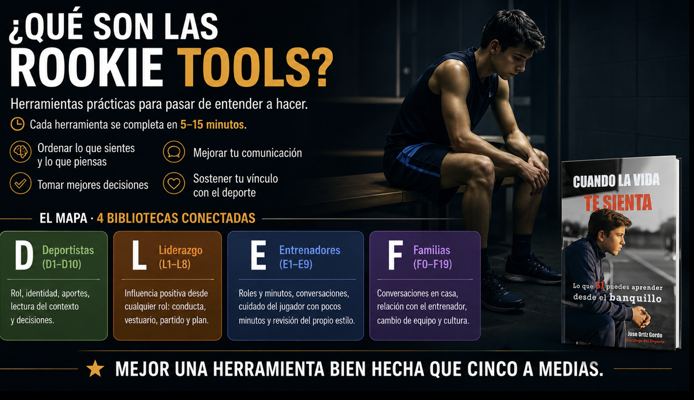 Infografía sobre cómo están organizadas las Rookie Tools en bibliotecas conectadas